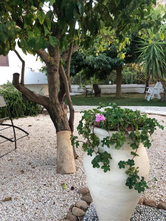 Il Gelso Nella Valle Agrigento Eksteriør billede